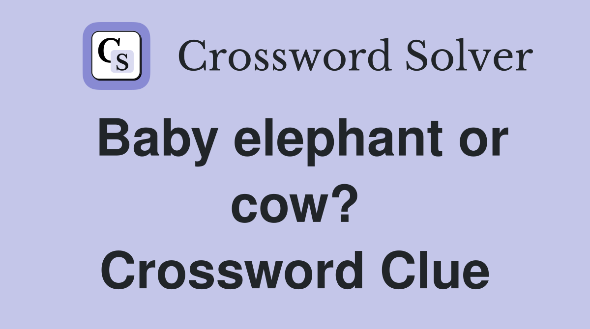 Baby elephant or cow? Crossword Clue