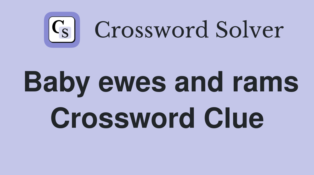 Baby ewes and rams Crossword Clue