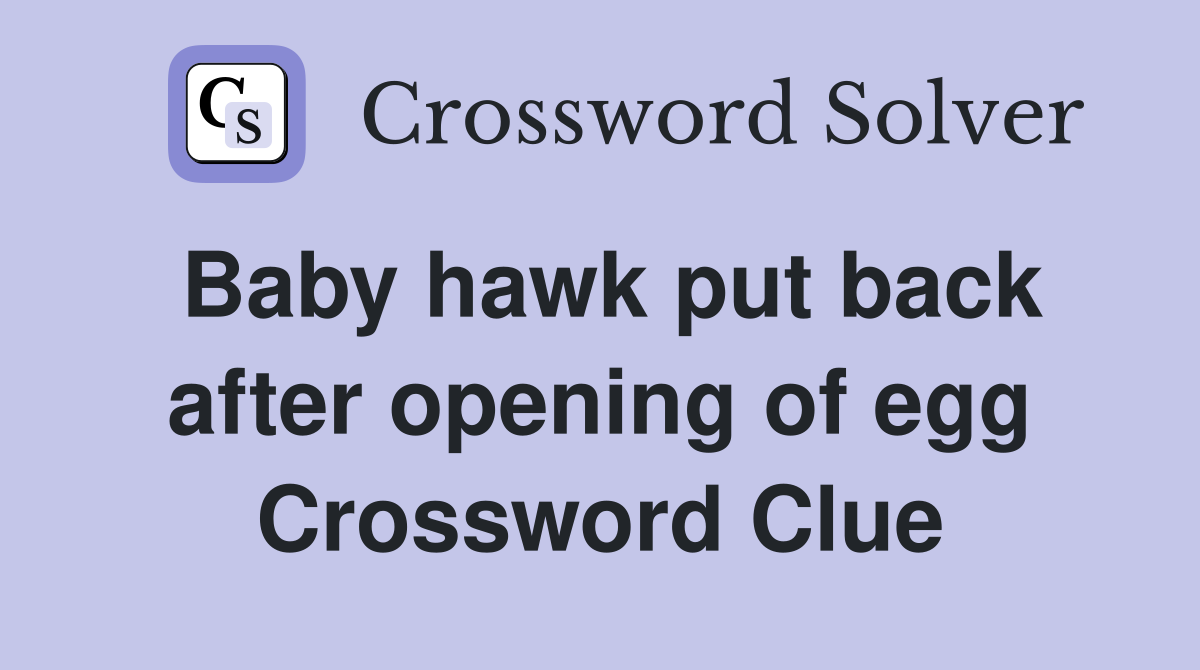Baby hawk put back after opening of egg Crossword Clue