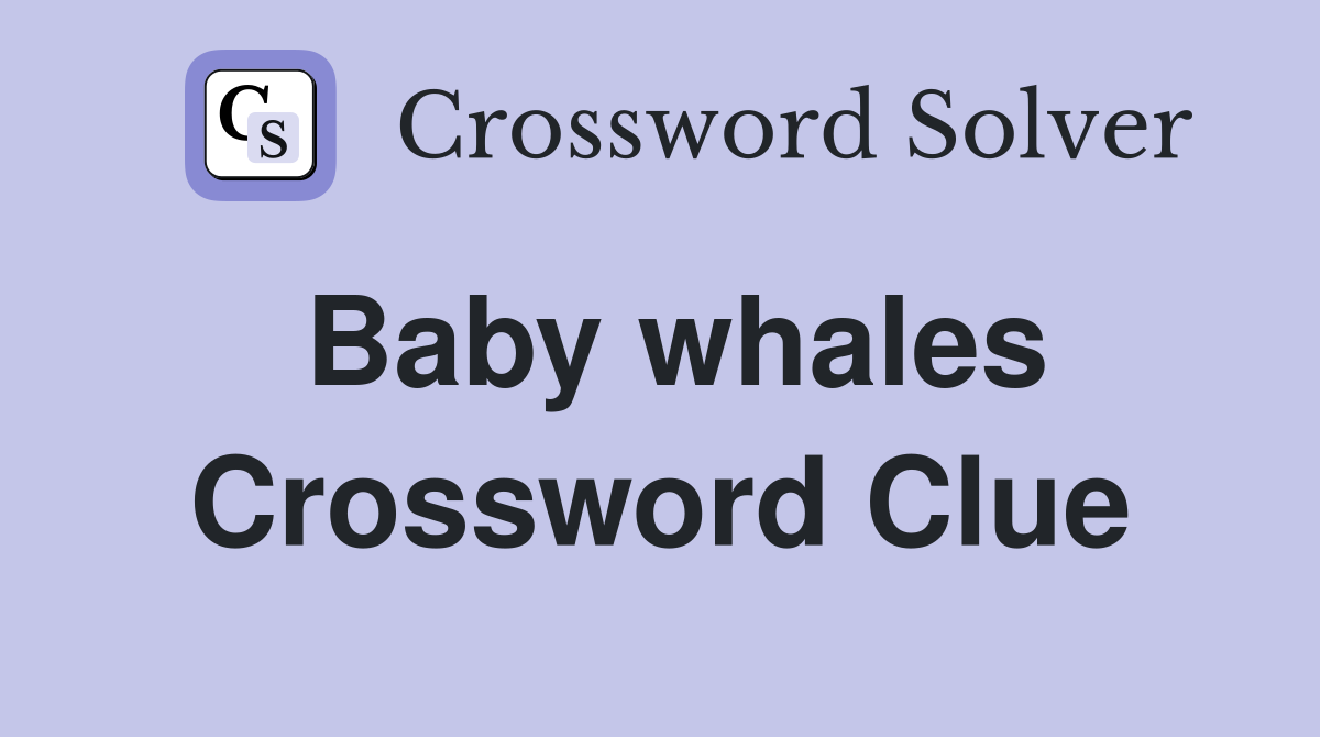 Baby whales Crossword Clue