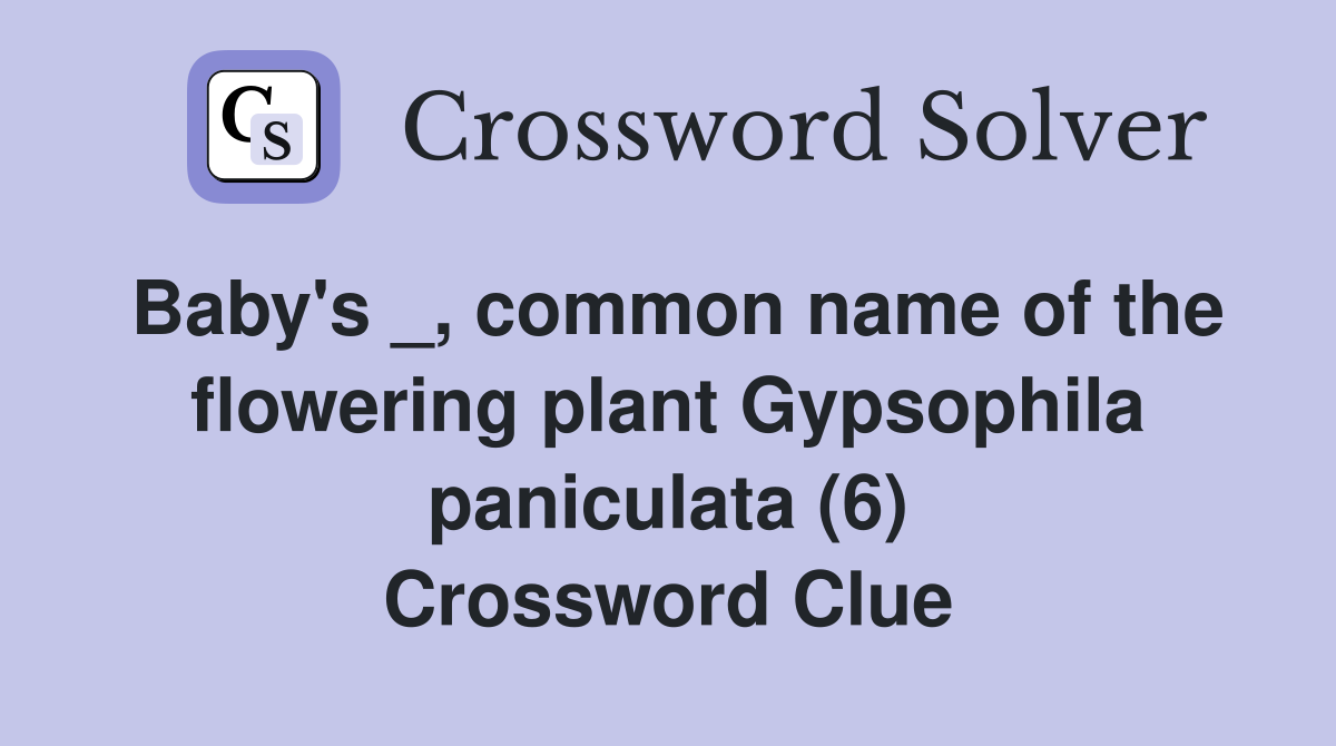 Baby's _, common name of the flowering plant Gypsophila paniculata (6) Crossword Clue