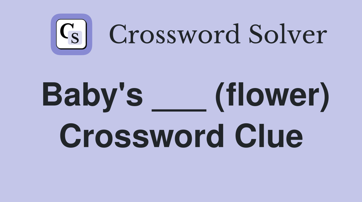 Baby's ___ (flower) Crossword Clue
