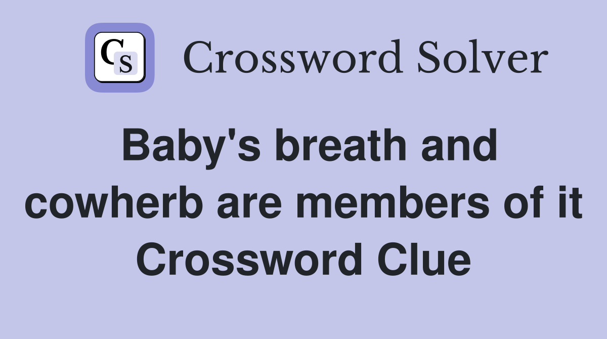 Baby's breath and cowherb are members of it Crossword Clue