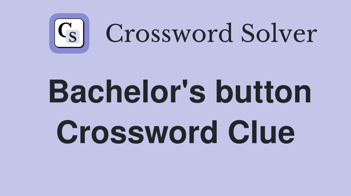 Bachelor's button Crossword Clue