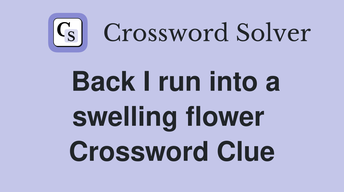Back I run into a swelling flower  Crossword Clue