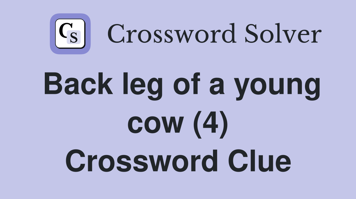 Back leg of a young cow (4) Crossword Clue