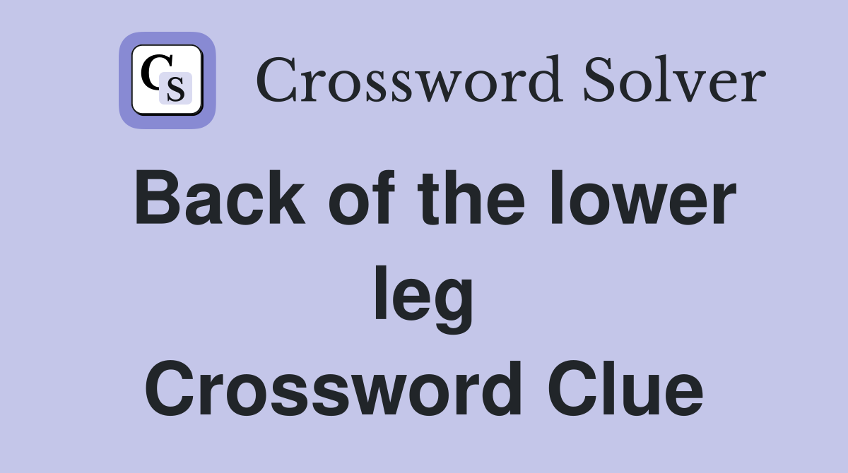 Back of the lower leg Crossword Clue