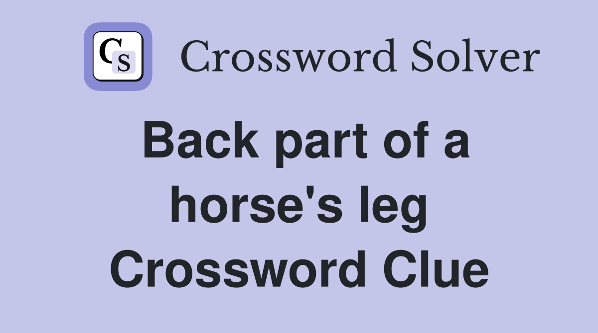 Back part of a horse's leg Crossword Clue