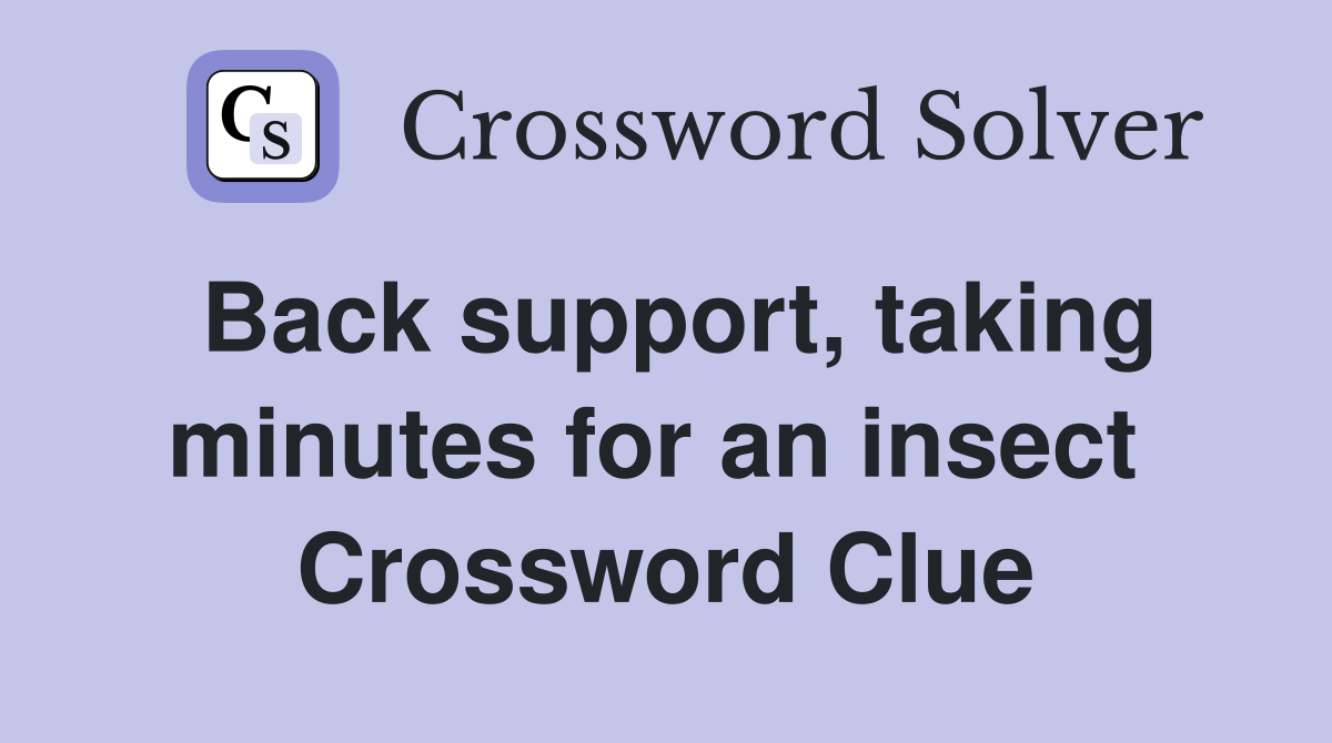 Back support, taking minutes for an insect  Crossword Clue