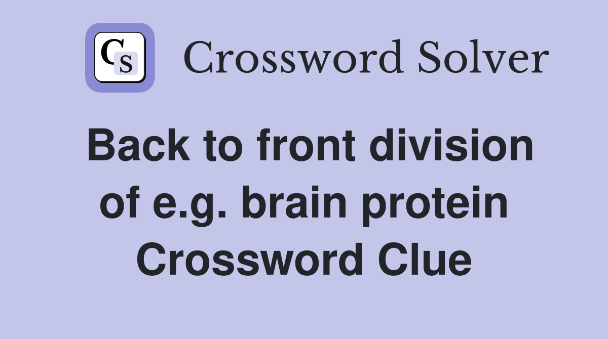 Back to front division of e.g. brain protein Crossword Clue