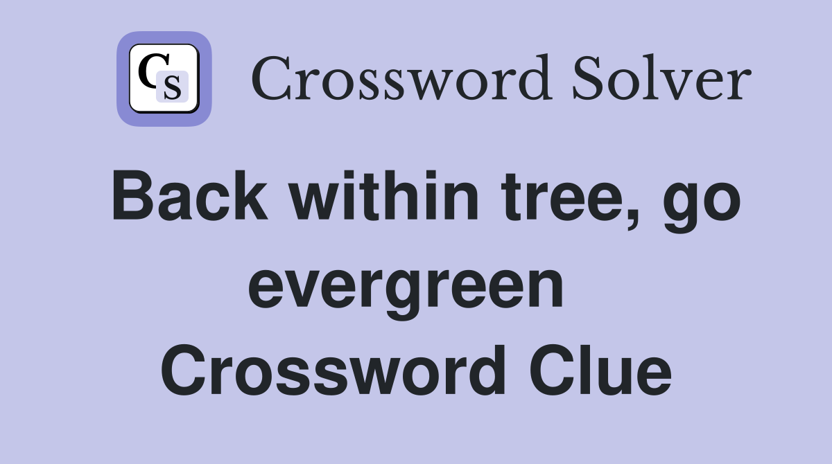 Back within tree, go evergreen  Crossword Clue