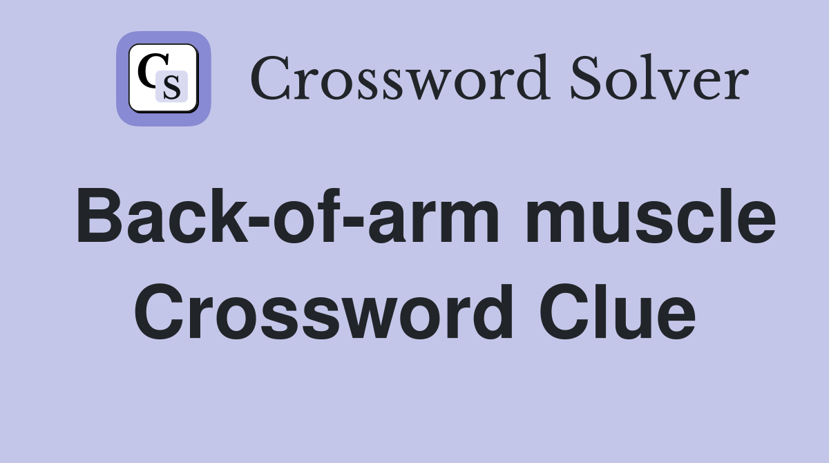 Back-of-arm muscle Crossword Clue