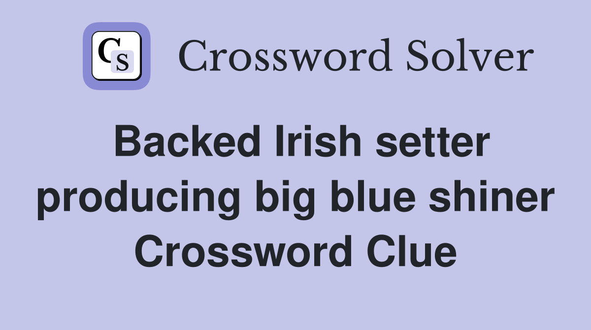 Backed Irish setter producing big blue shiner Crossword Clue