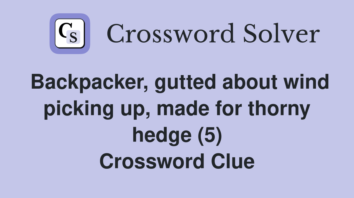 Backpacker, gutted about wind picking up, made for thorny hedge (5) Crossword Clue