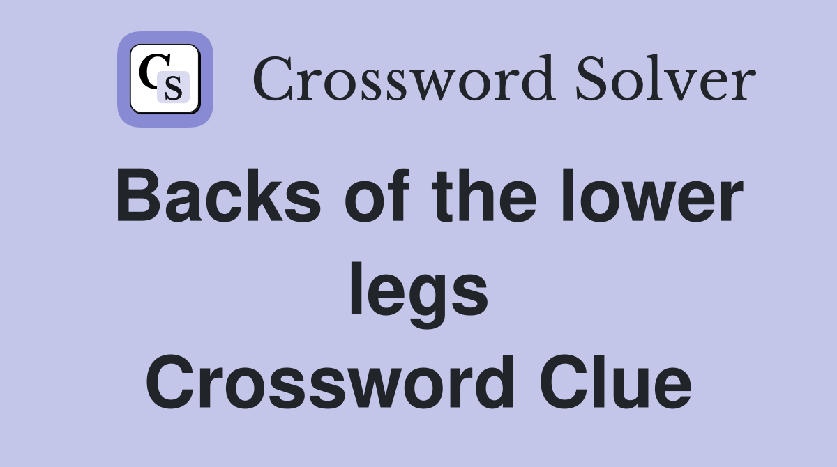 Backs of the lower legs Crossword Clue