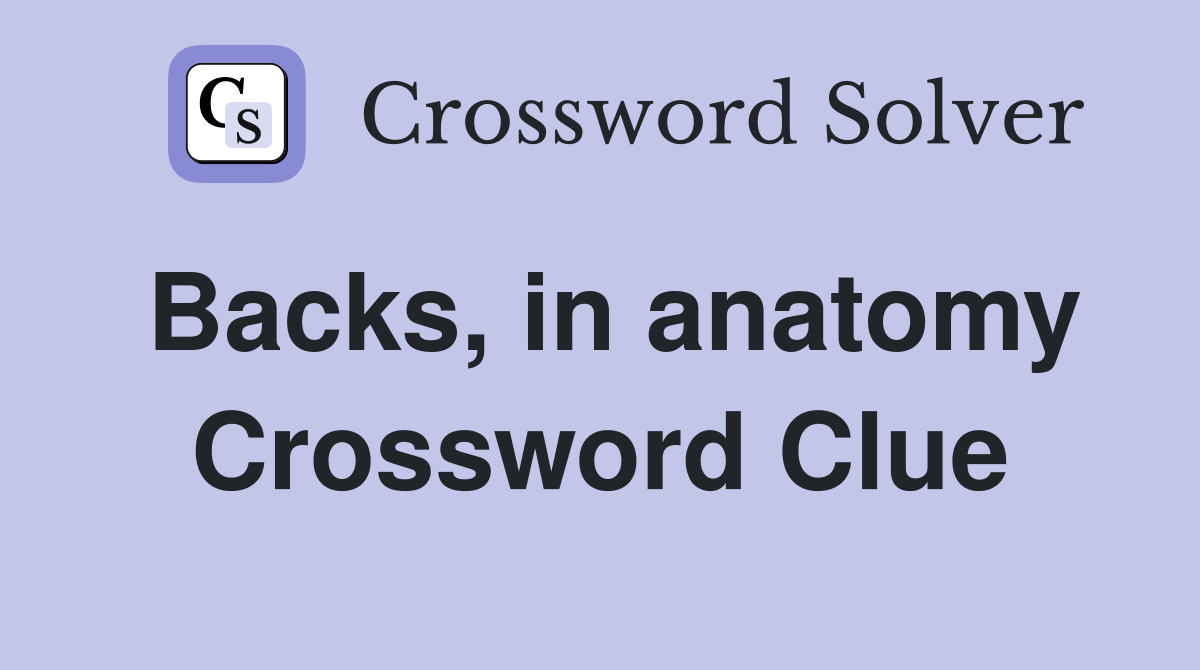 Backs, in anatomy Crossword Clue
