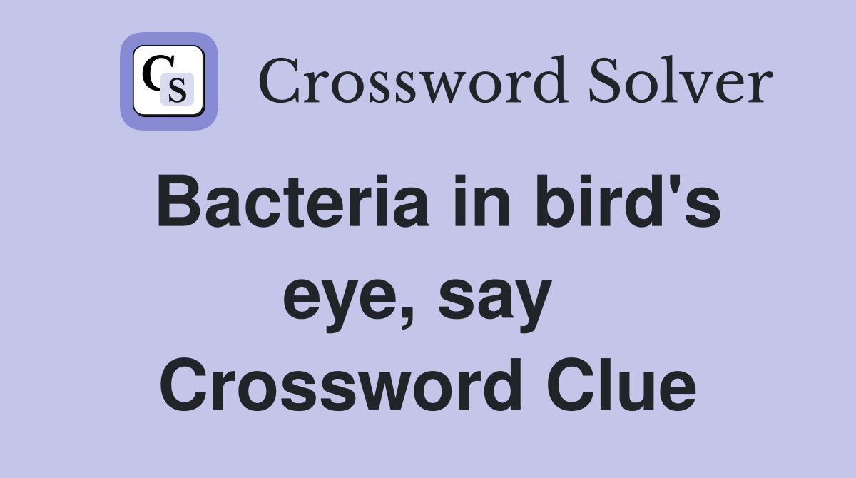 Bacteria in bird's eye, say  Crossword Clue