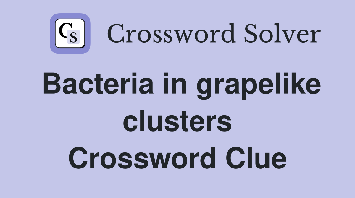 Bacteria in grapelike clusters Crossword Clue