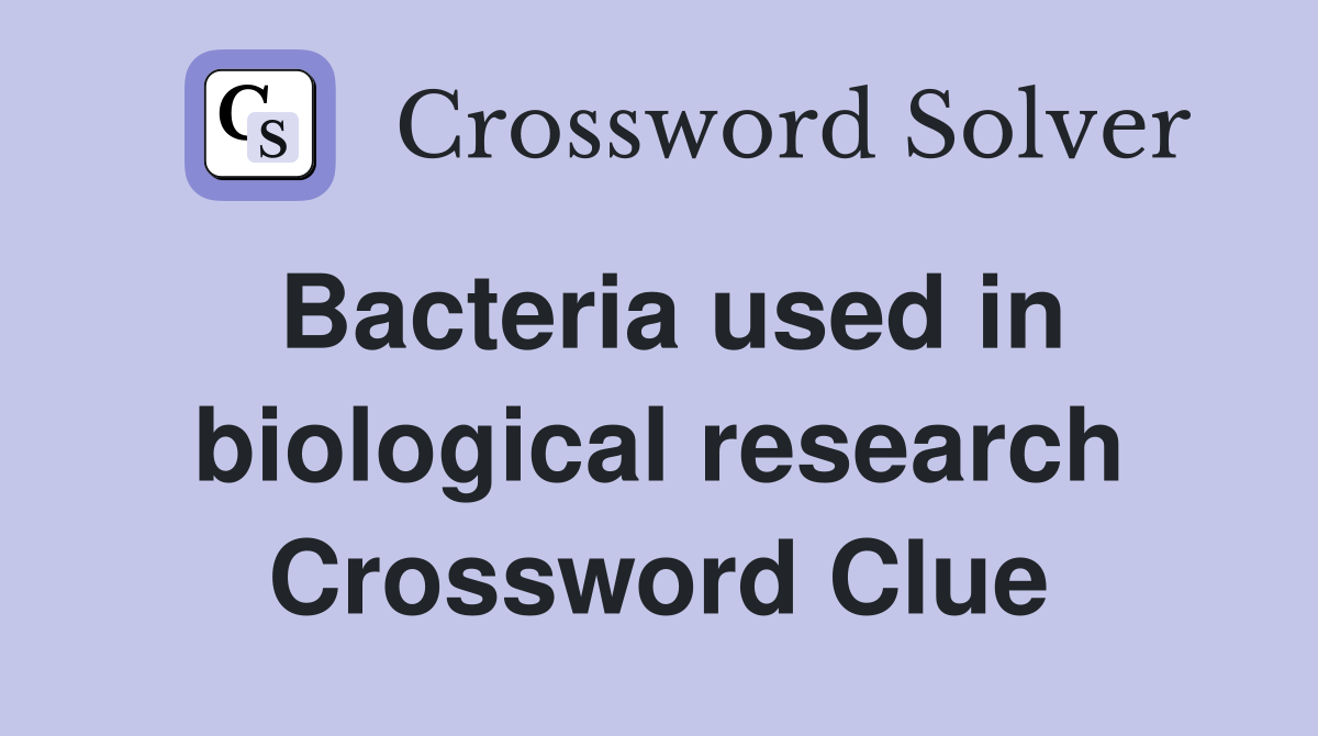 Bacteria used in biological research Crossword Clue