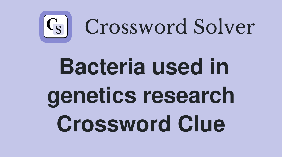 Bacteria used in genetics research Crossword Clue