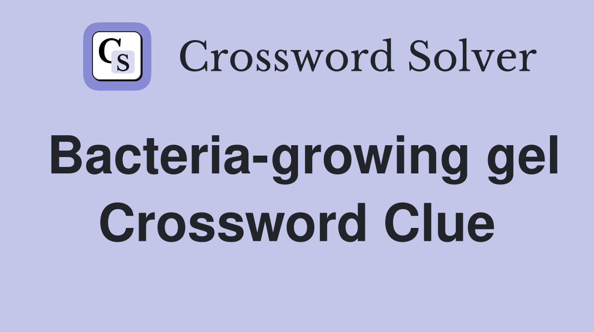 Bacteria-growing gel Crossword Clue