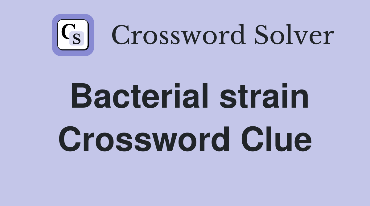 Bacterial strain Crossword Clue