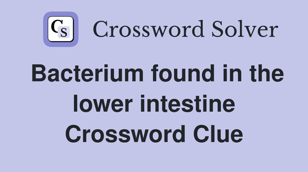 Bacterium found in the lower intestine Crossword Clue