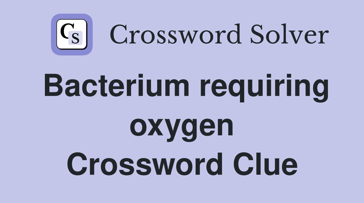 Bacterium requiring oxygen Crossword Clue