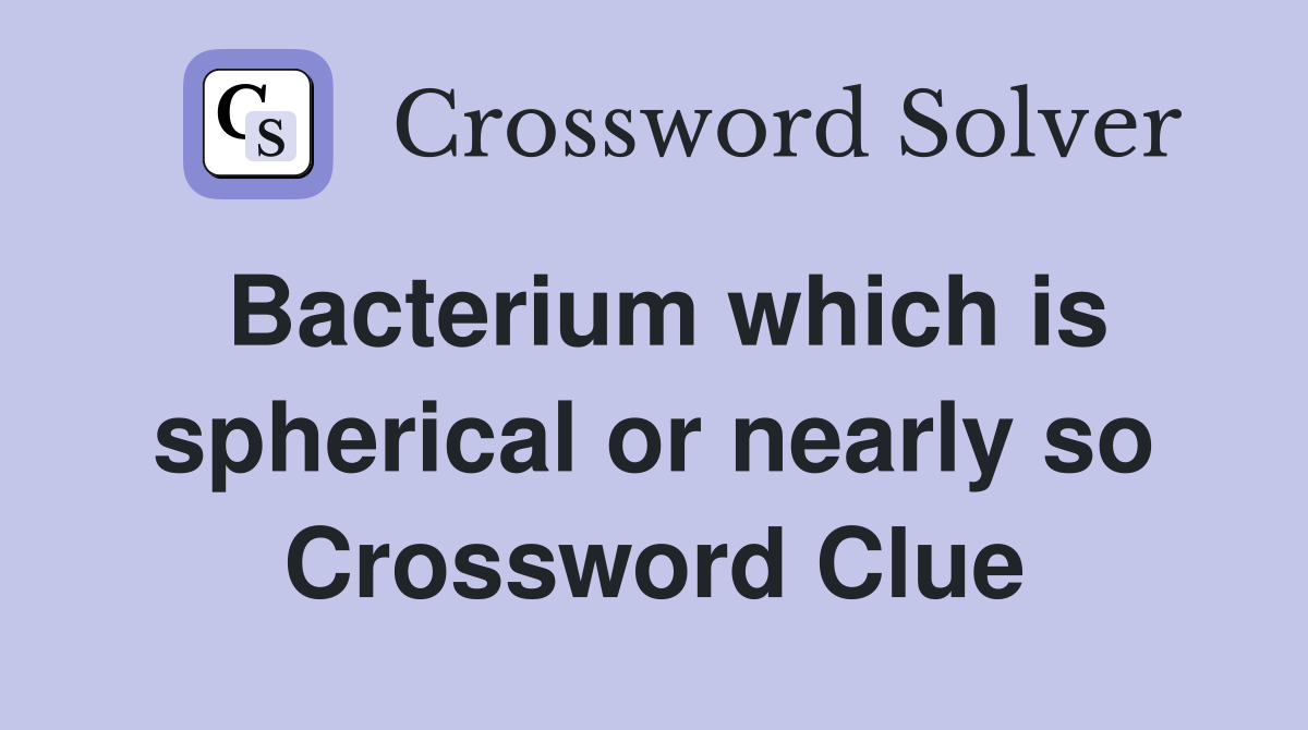 Bacterium which is spherical or nearly so Crossword Clue