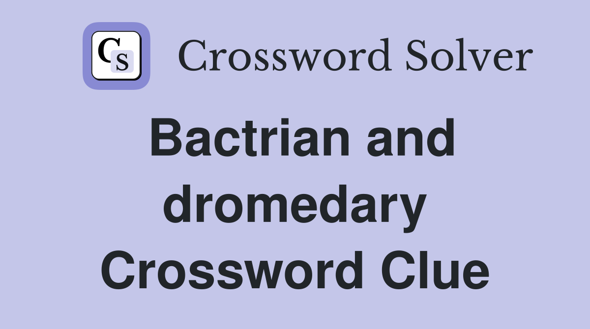 Bactrian and dromedary Crossword Clue