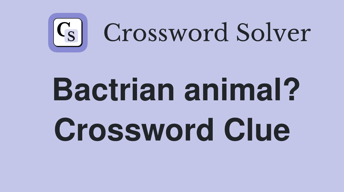 Bactrian animal? Crossword Clue