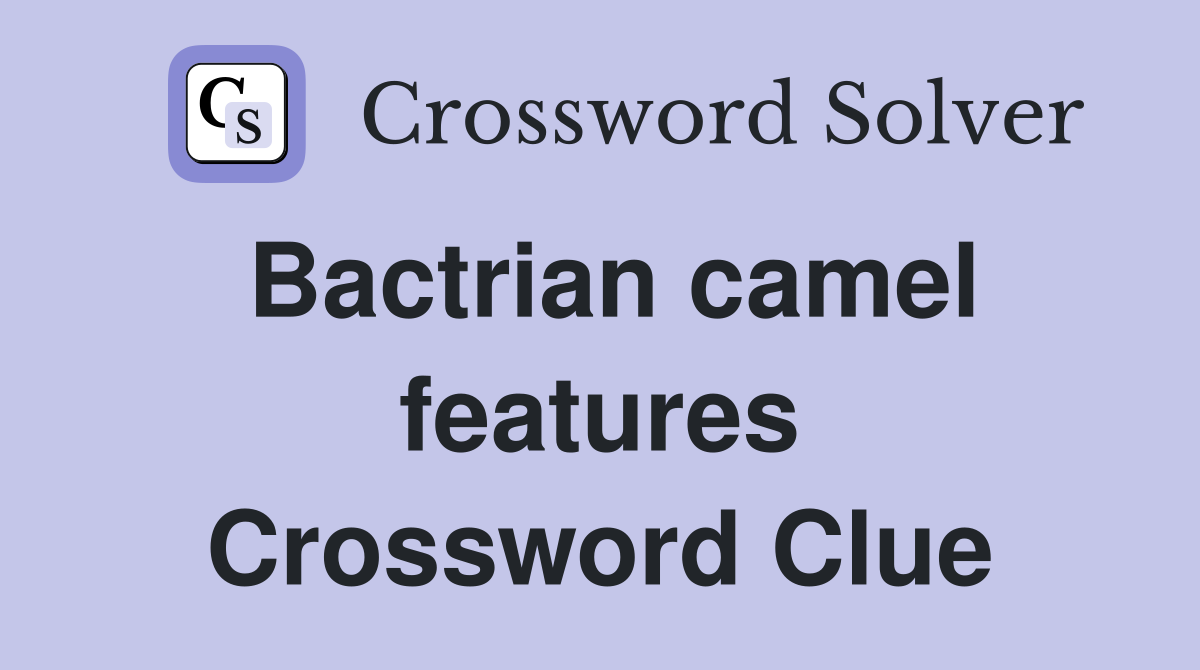 Bactrian camel features Crossword Clue