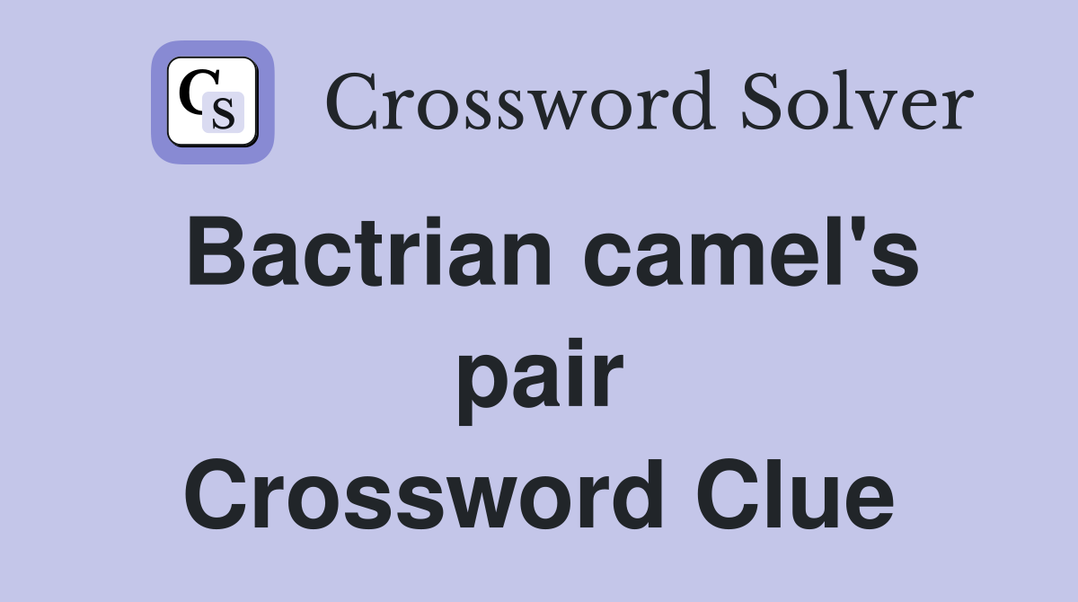 Bactrian camel's pair Crossword Clue