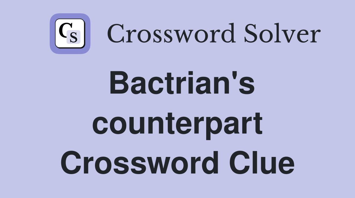 Bactrian's counterpart Crossword Clue