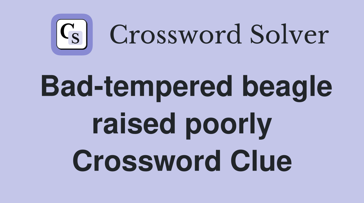 Bad-tempered beagle raised poorly Crossword Clue