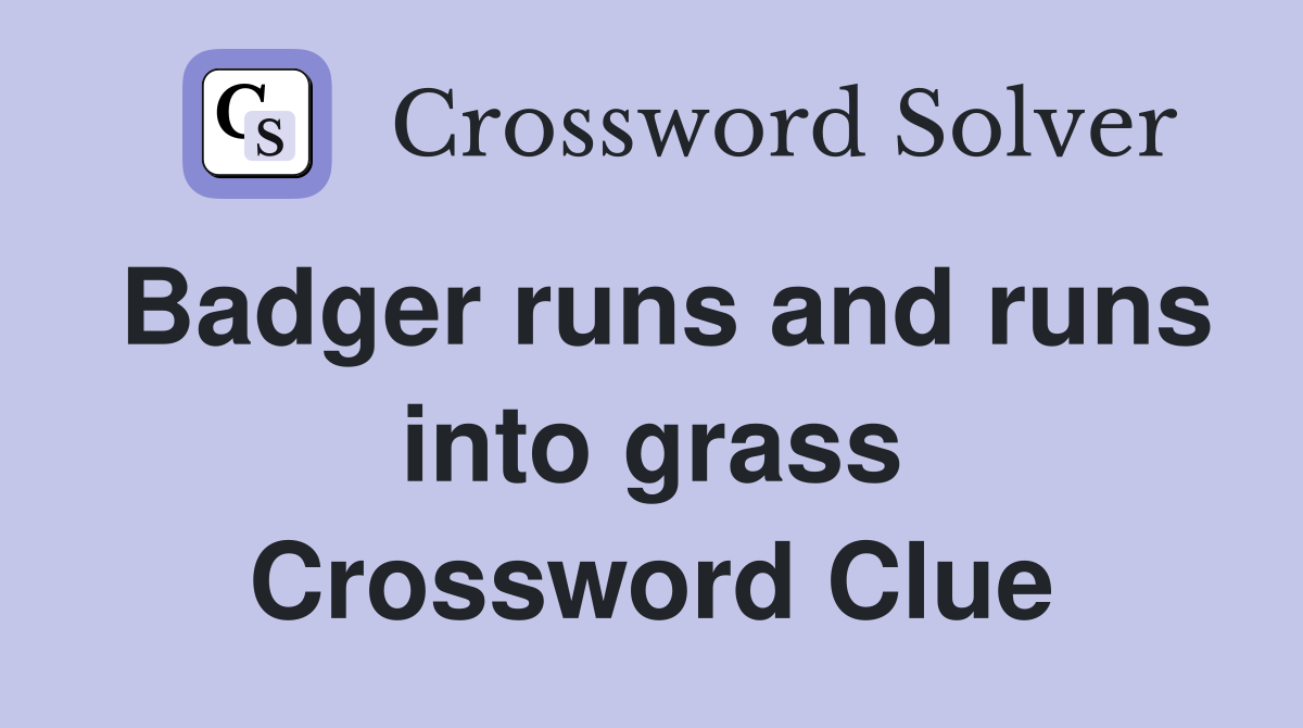Badger runs and runs into grass Crossword Clue