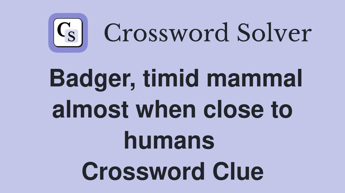 Badger, timid mammal almost when close to humans  Crossword Clue