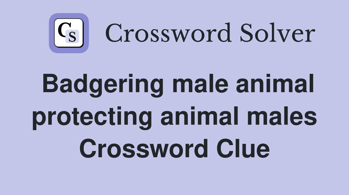 Badgering male animal protecting animal males Crossword Clue