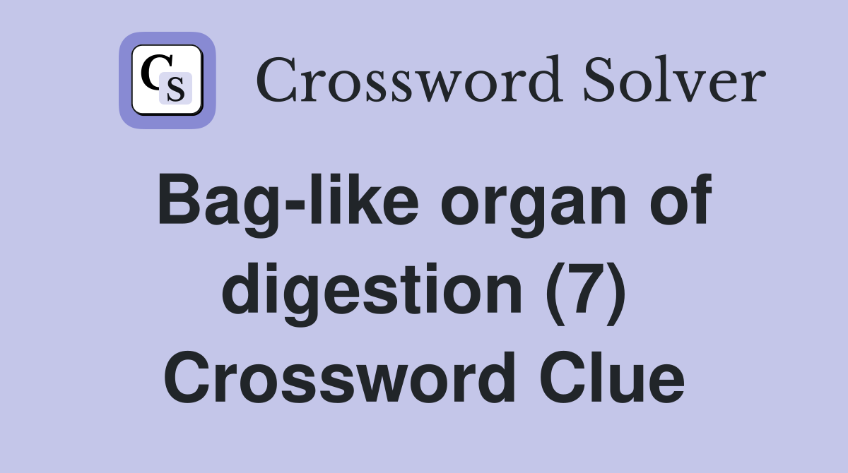 Bag-like organ of digestion (7) Crossword Clue