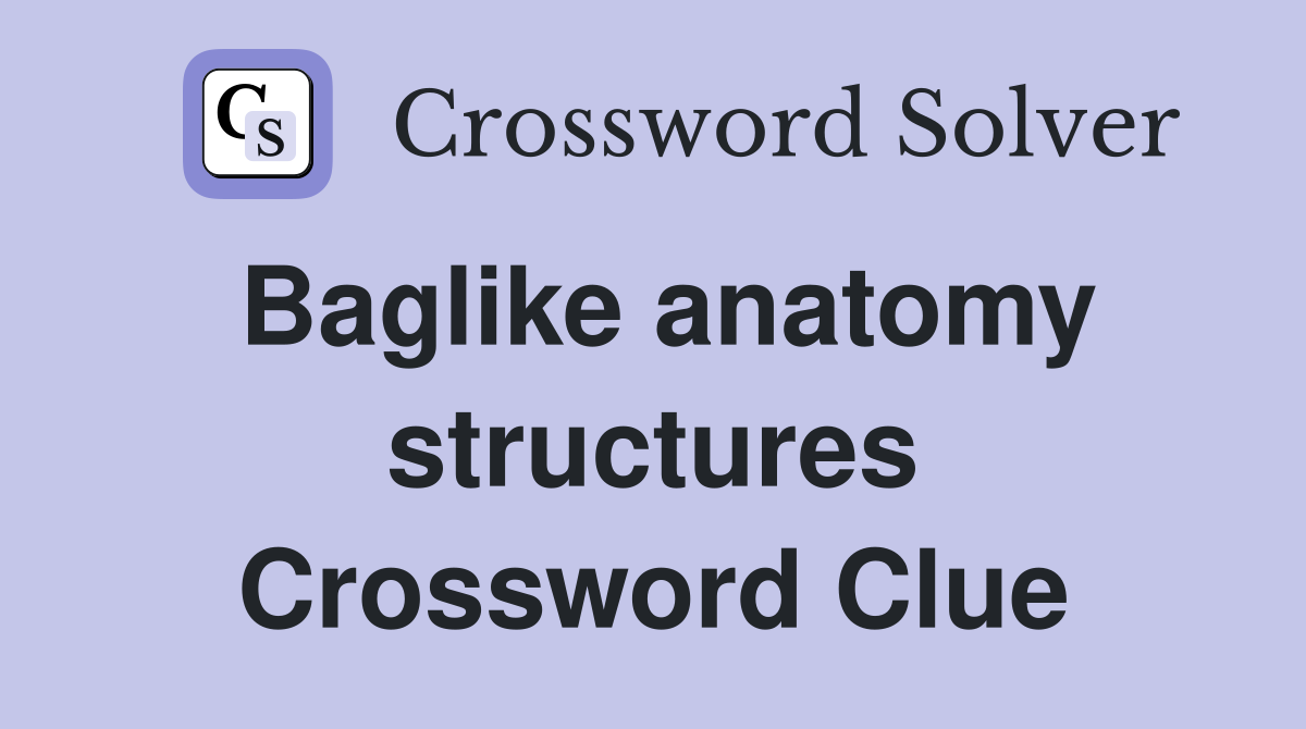 Baglike anatomy structures Crossword Clue