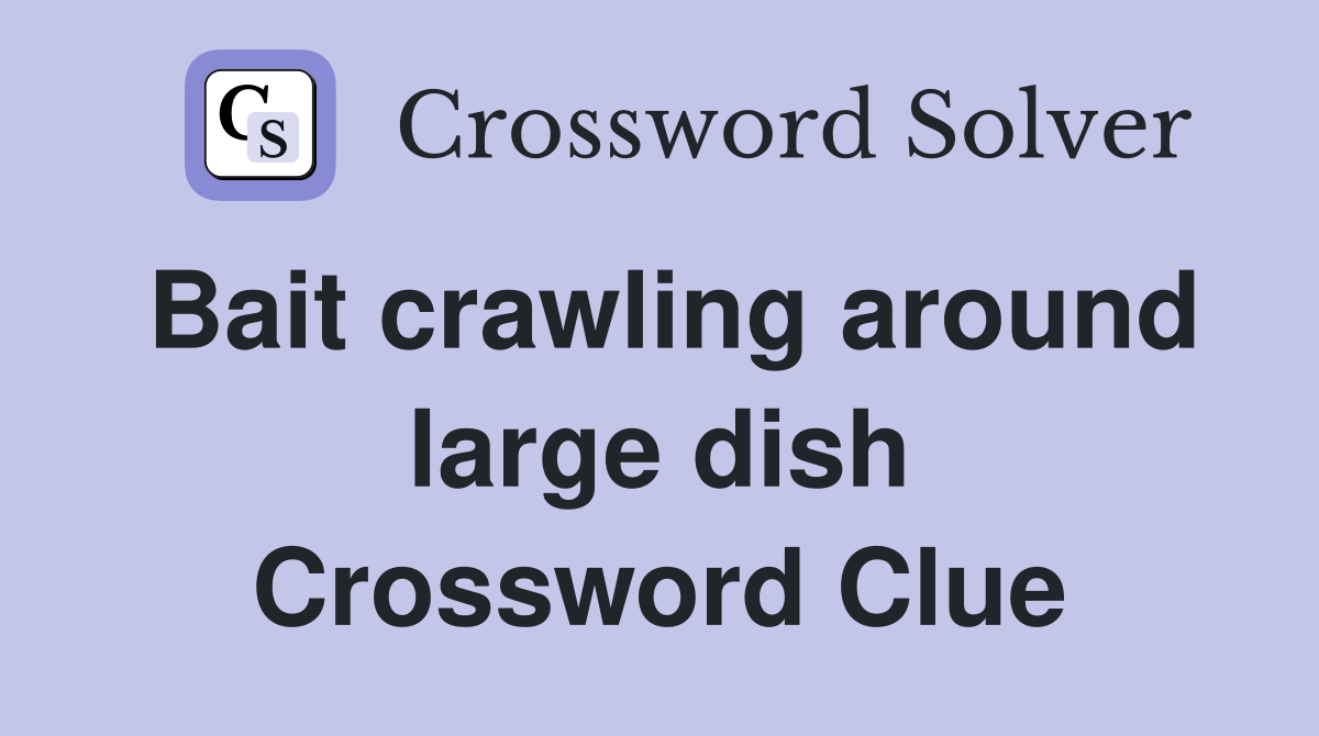 Bait crawling around large dish Crossword Clue