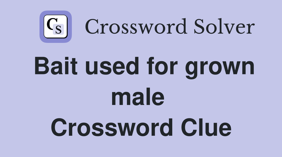Bait used for grown male  Crossword Clue
