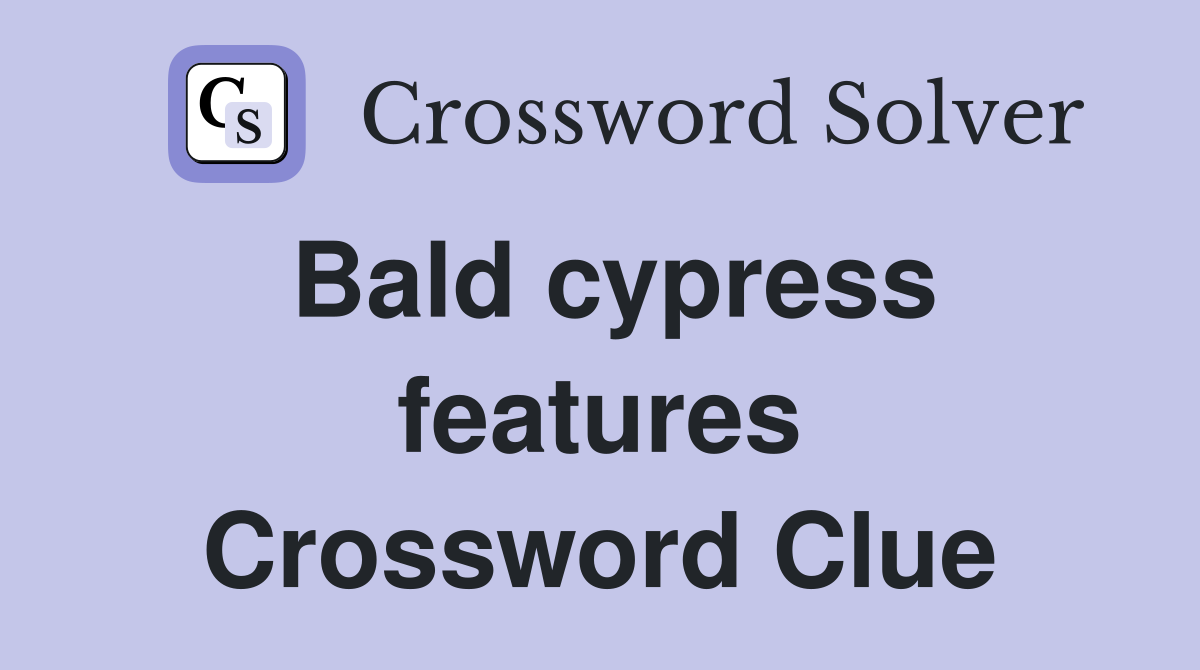 Bald cypress features Crossword Clue