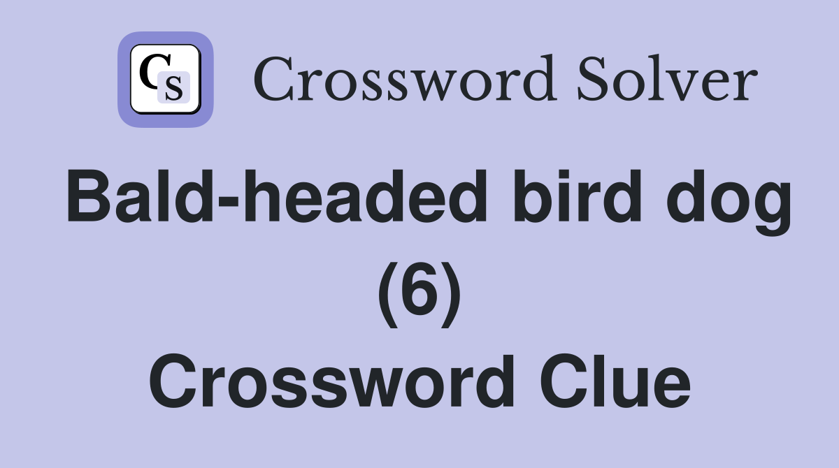 Bald-headed bird dog (6) Crossword Clue