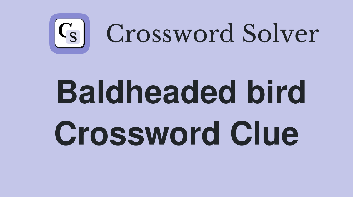 Baldheaded bird Crossword Clue