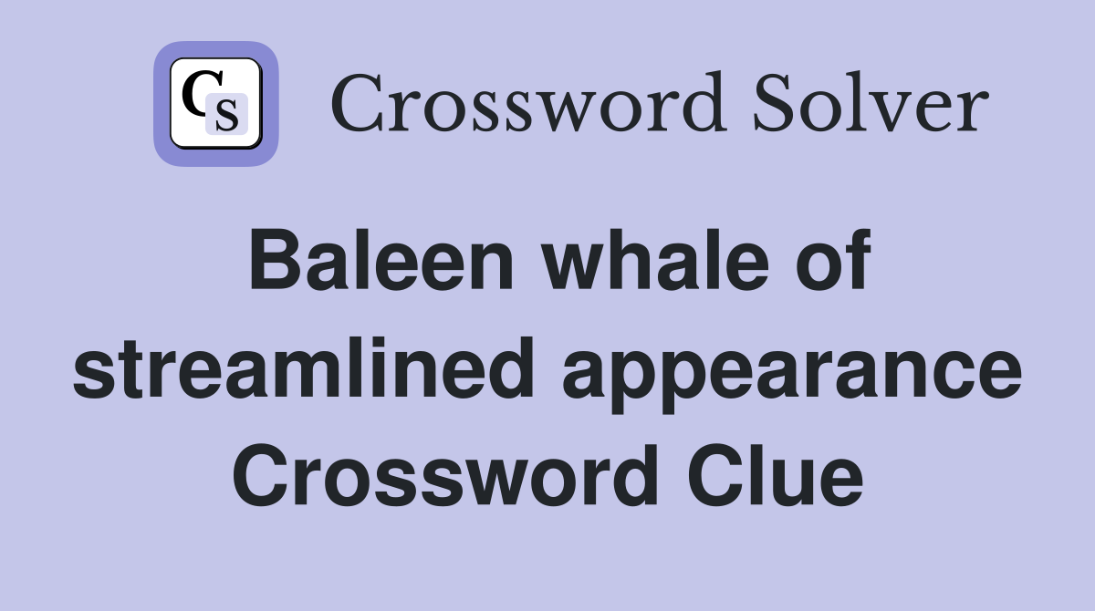 Baleen whale of streamlined appearance Crossword Clue