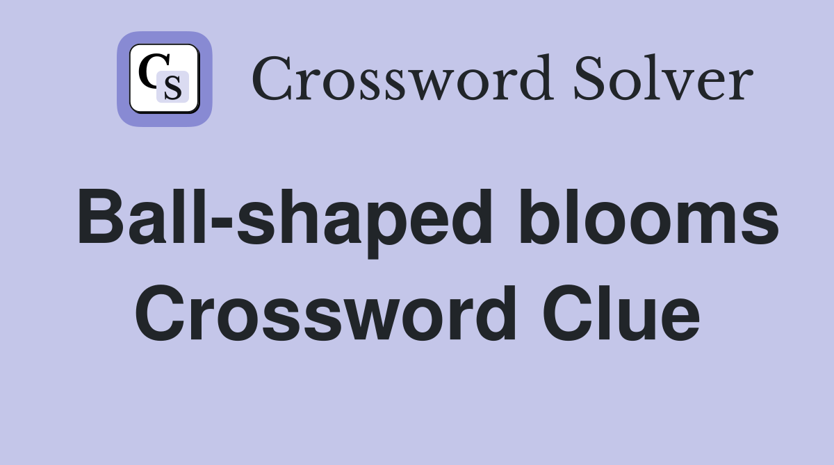 Ball-shaped blooms Crossword Clue