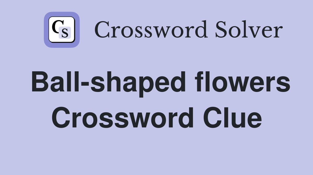 Ball-shaped flowers Crossword Clue