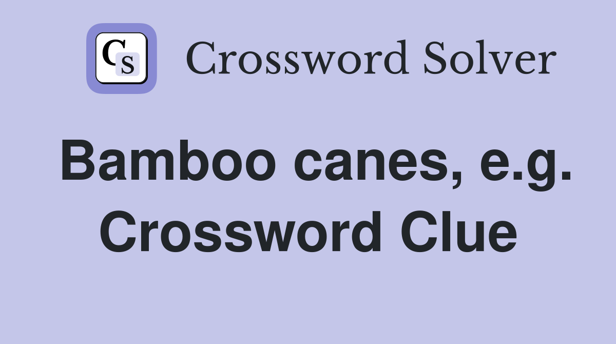 Bamboo canes, e.g. Crossword Clue