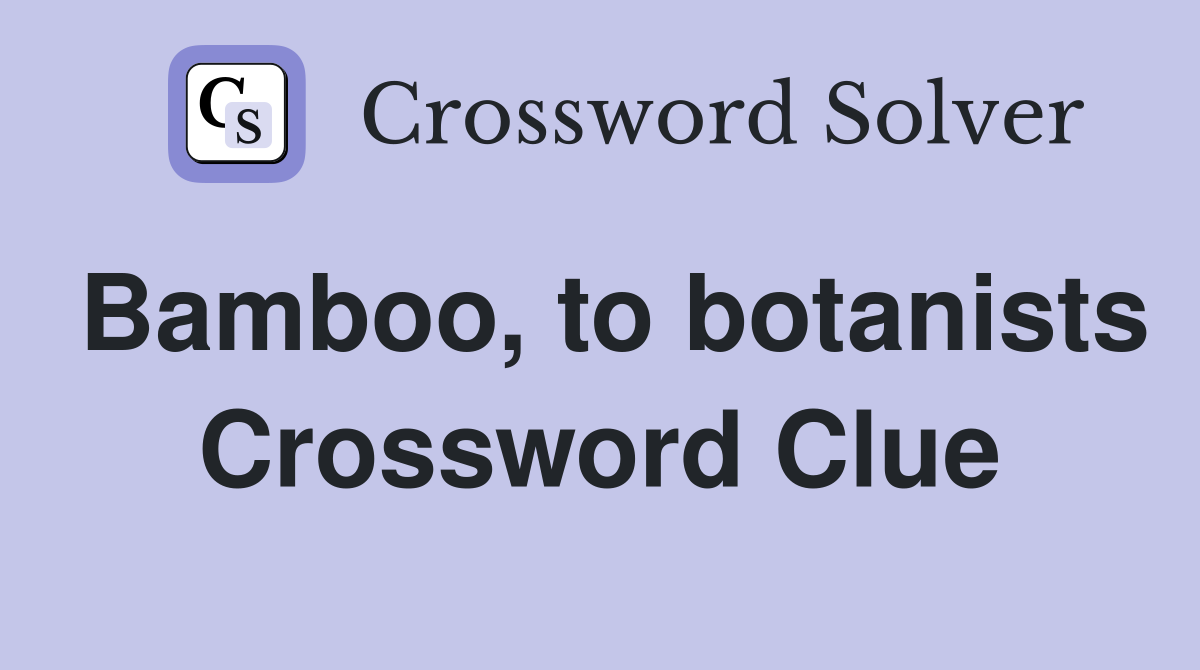 Bamboo, to botanists Crossword Clue